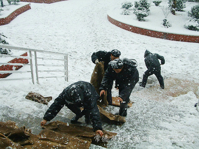 保障業(yè)主出行“冰災(zāi)除雪”